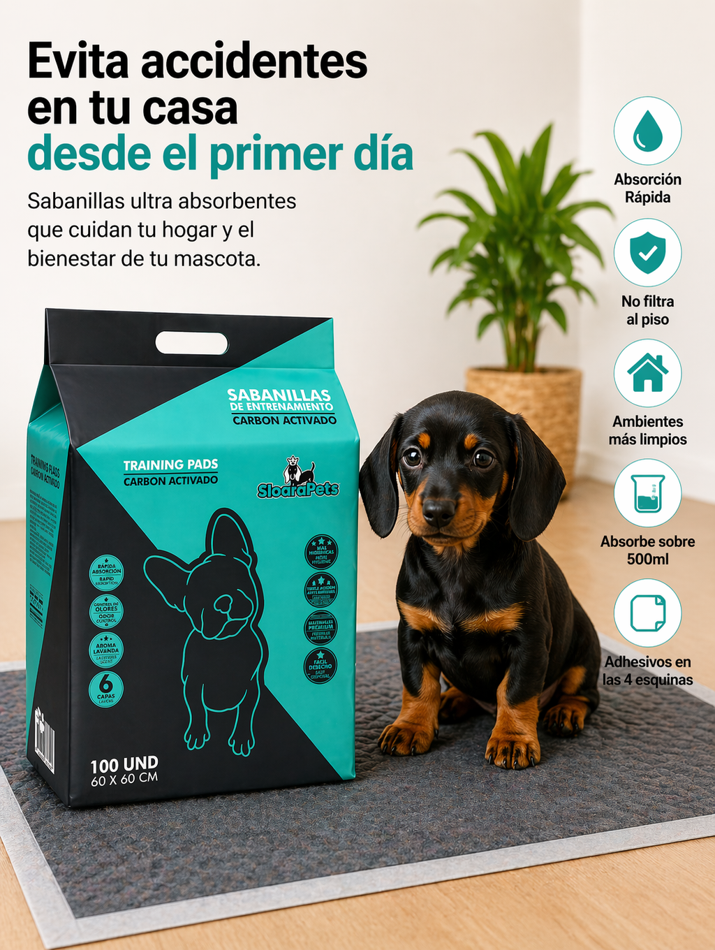 Cachorro usando sabanilla CarboPro en
departamento entrenamiento de higiene 